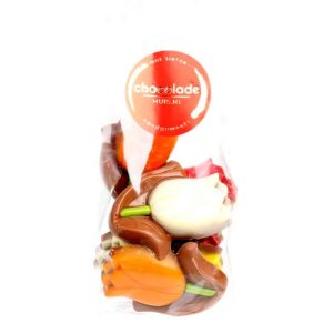 Chocolade tulpen