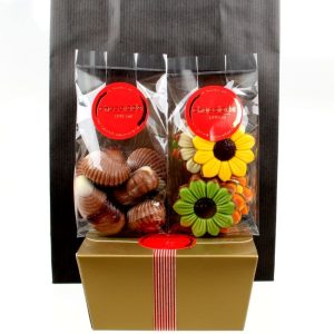 Chocolade cadeau in geschenktasje