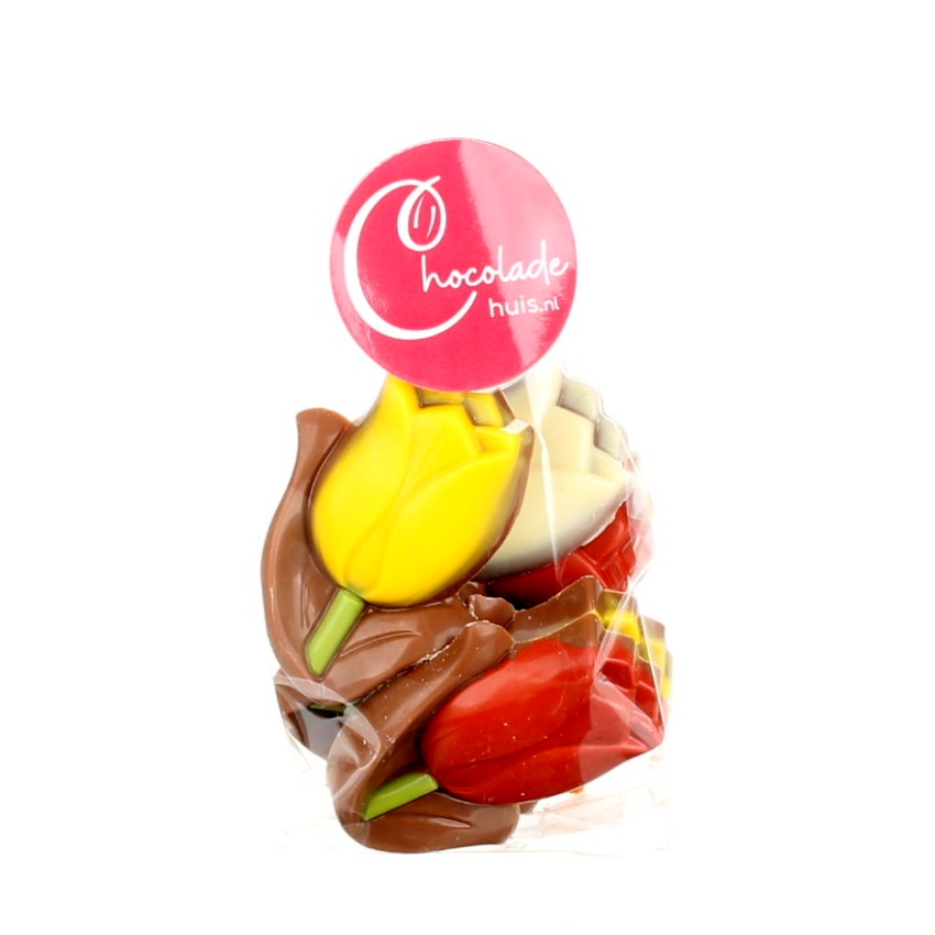 zakje tulpen